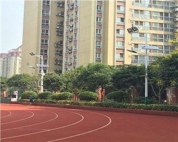 學(xué)校路燈改造-省西安高新一中路燈項(xiàng)目