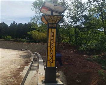 寧夏商洛洛南景村鎮(zhèn)太陽能景觀燈項目